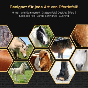 KNEIZER M&aacute;quina de cortar caballos, set completo con accesorios &ndash; con cuchillas intercambiables &ndash; silenciosa y con pocas vibraciones